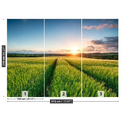 Papel de parede Campos de cevada