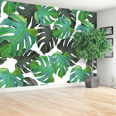 Mural de parede Folhas de Monstera