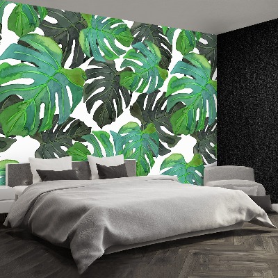 Mural de parede Folhas de Monstera
