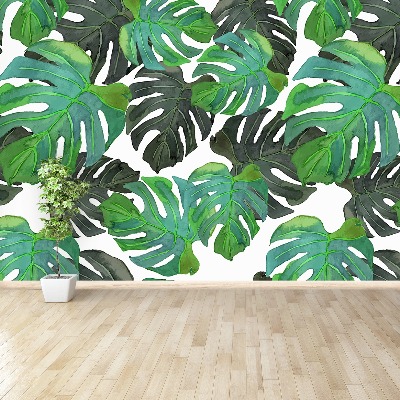 Mural de parede Folhas de Monstera