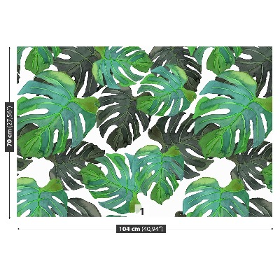 Mural de parede Folhas de Monstera