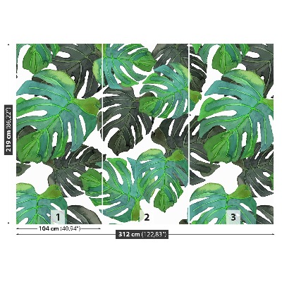 Mural de parede Folhas de Monstera