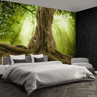 Mural de parede Grandes raízes de árvores