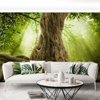 Mural de parede Grandes raízes de árvores