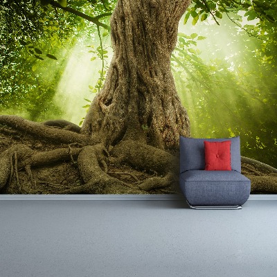Mural de parede Grandes raízes de árvores