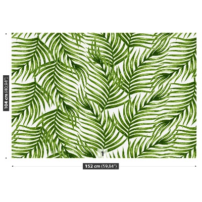 Papel de parede Folhas de palmeira