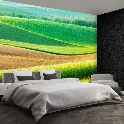 Papel de parede Paisagem rural