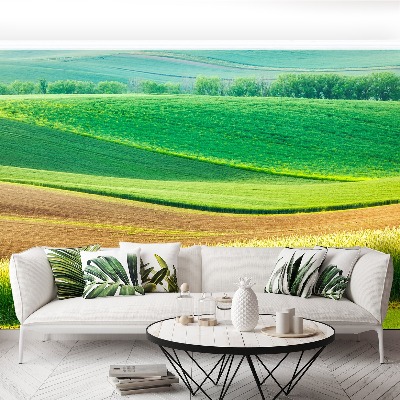 Papel de parede Paisagem rural