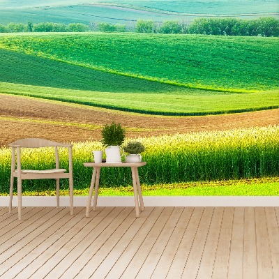 Papel de parede Paisagem rural