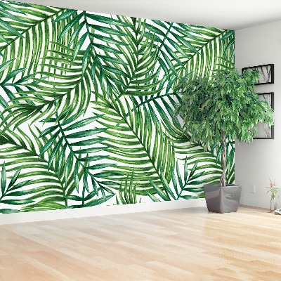 Papel de parede Folhas de palmeira