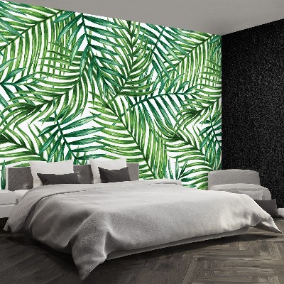 Papel de parede Folhas de palmeira