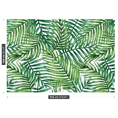 Papel de parede Folhas de palmeira
