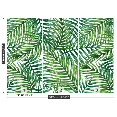 Papel de parede Folhas de palmeira
