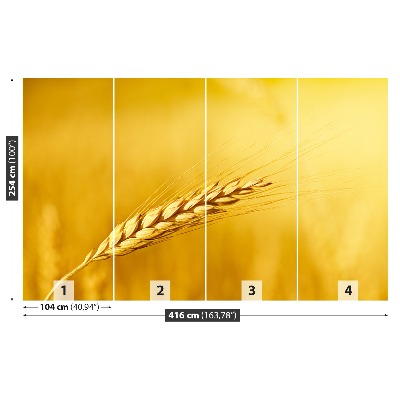 Papel de parede Uma espiga de trigo