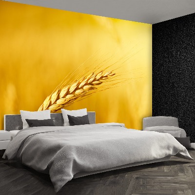 Papel de parede Uma espiga de trigo
