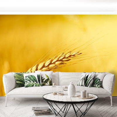 Papel de parede Uma espiga de trigo