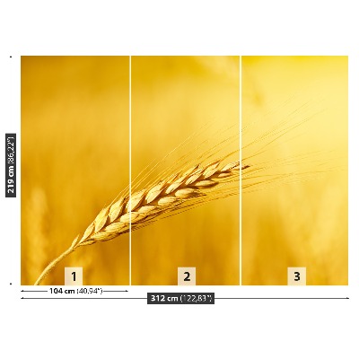 Papel de parede Uma espiga de trigo