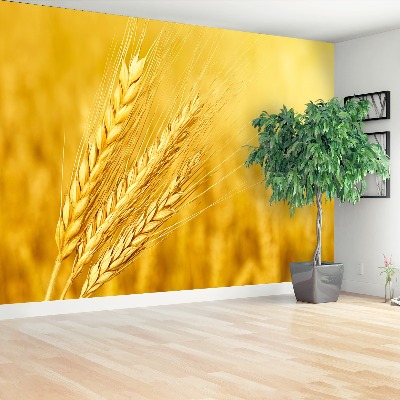 Mural de parede Uma espiga de trigo