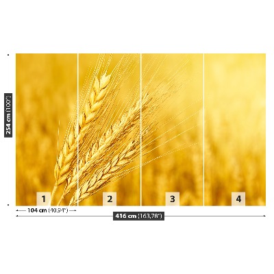 Mural de parede Uma espiga de trigo