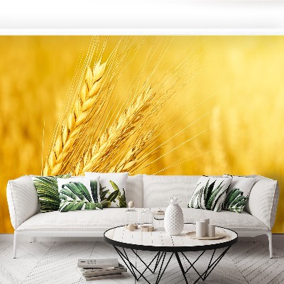 Mural de parede Uma espiga de trigo