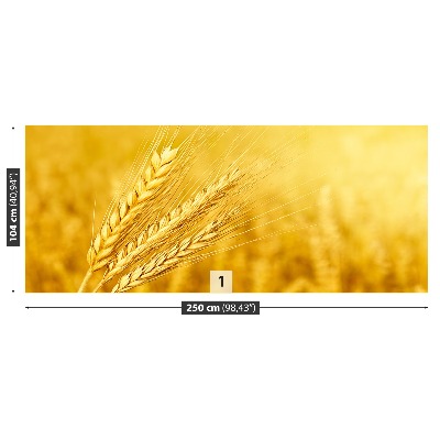 Mural de parede Uma espiga de trigo