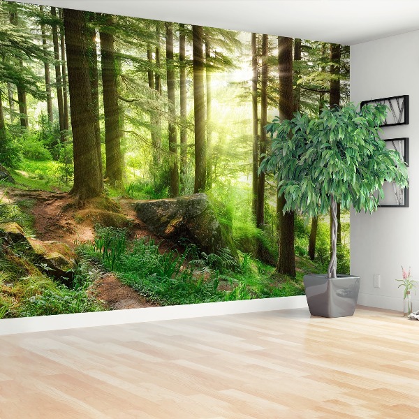 Papel de parede Floresta enevoada