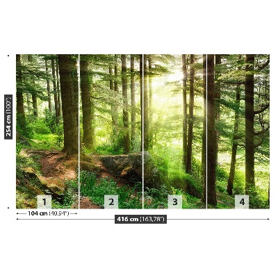 Papel de parede Floresta enevoada