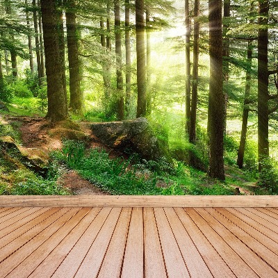 Papel de parede Floresta enevoada