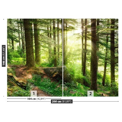 Papel de parede Floresta enevoada