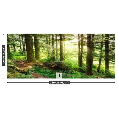 Papel de parede Floresta enevoada