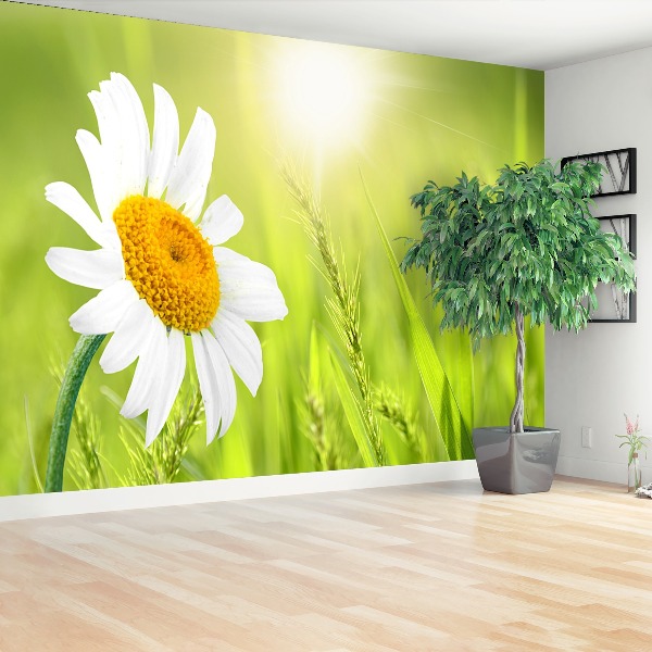 Mural de parede Margarida