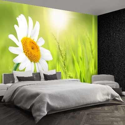 Mural de parede Margarida