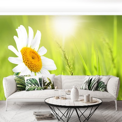 Mural de parede Margarida