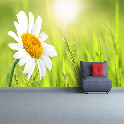 Mural de parede Margarida