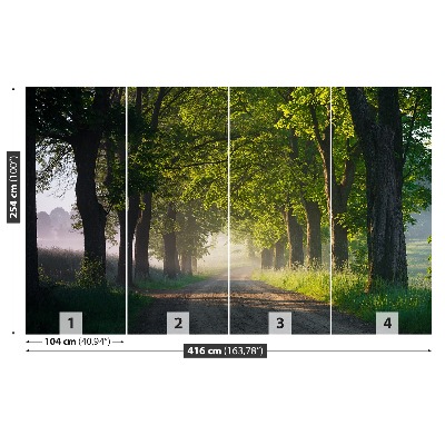 Mural de parede Avenida das árvores