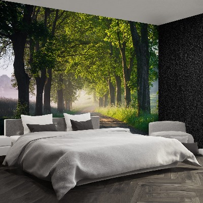 Mural de parede Avenida das árvores