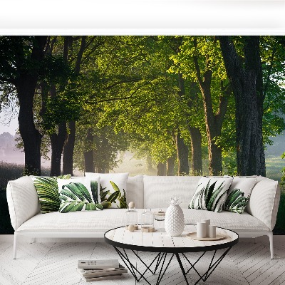 Mural de parede Avenida das árvores