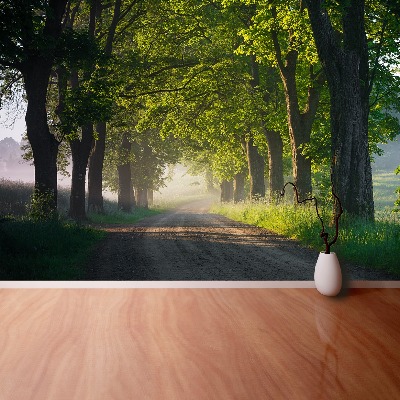 Mural de parede Avenida das árvores