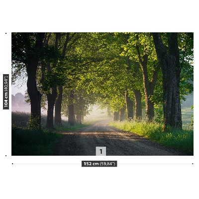 Mural de parede Avenida das árvores