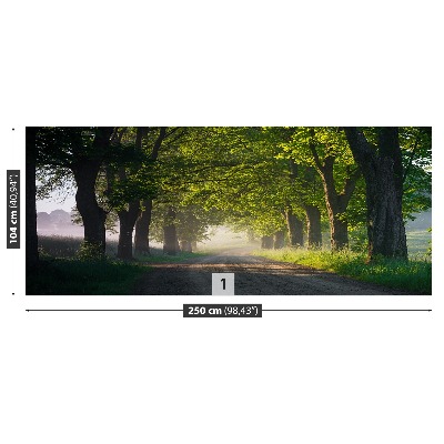 Mural de parede Avenida das árvores