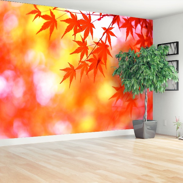 Papel de parede Folhas de Laranja