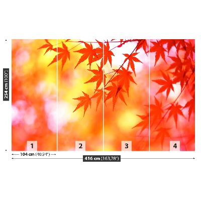 Papel de parede Folhas de Laranja