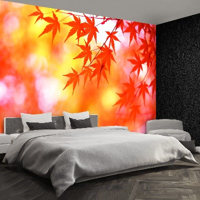 Papel de parede Folhas de Laranja