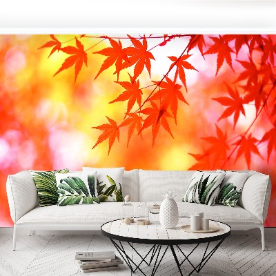 Papel de parede Folhas de Laranja