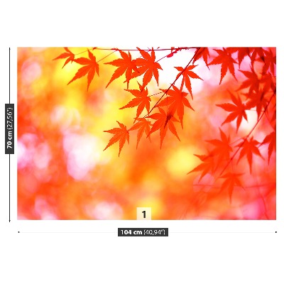 Papel de parede Folhas de Laranja