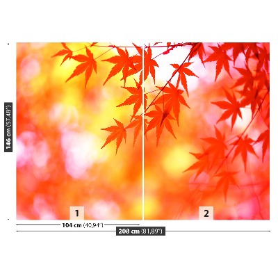 Papel de parede Folhas de Laranja