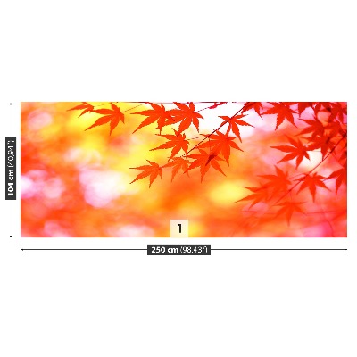 Papel de parede Folhas de Laranja