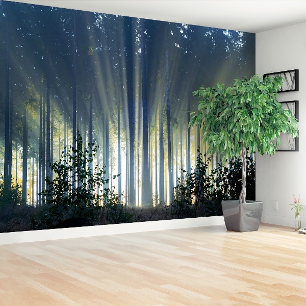 Mural de parede Floresta de abetos