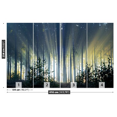 Mural de parede Floresta de abetos