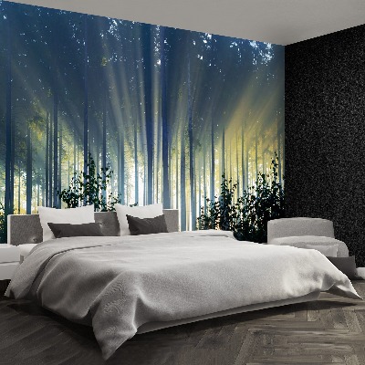 Mural de parede Floresta de abetos